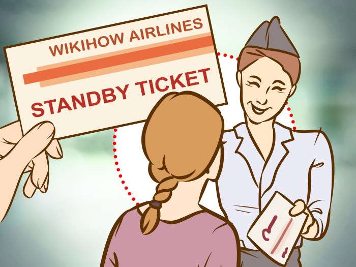 How to Fly for Free or Cheap Your Ultimate Guide